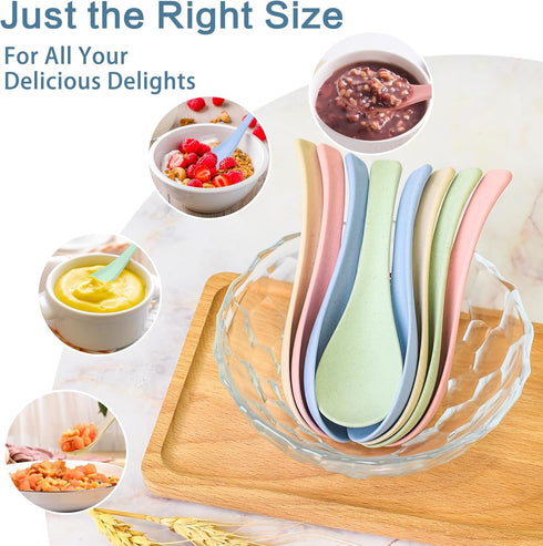 8 Pcs Plastic Spoon Dinner Spoons, Lnrkai Portable Reusable Soup Spoon Reusable Multicolor Lightweight Durable Spoon Dishwasher & Microwave Safe f...