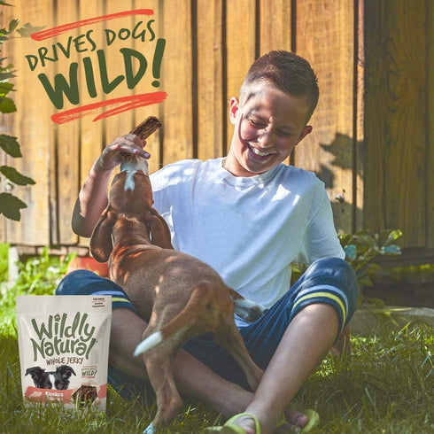 Whole Jerky Dog Treats | Limited Ingredient, Made in USA Jerky | Grain Free & Nothing Artificial | Alaskan Salmon, 5 oz...