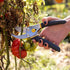 Co. Regular Duty Bypass Pruning Shears, Garden Hand Pruner, Floral Clipper, Stem Cutter, Small Branch Shears (05-2001-100)...