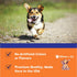 Collagen for Dogs - Dog Collagen - Liquid Collagen for Dogs - Itch Relief for Dogs - Dog Liquid Collagen - Liquid Collagen Dogs - Collagen Supplem...