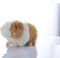 Cute rabbit 8 inch Guinea Pig plush toy stuffed animal toy plush animal doll (orange)...