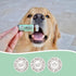 Natural Dog Company Snout Soother - Dog Nose Balm, Travel Stick, 0.15 oz., Dog Balm for Paws and Nose, Moisturizes & Soothes Dry Cracked Noses, Pl...