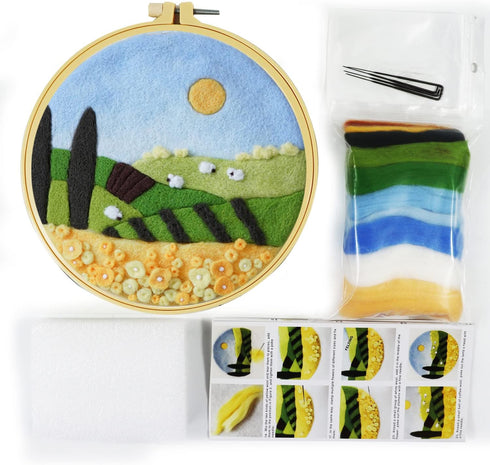 DARALIS Needle Felt Starter Kit-Wool Needle Supplies Set for Beginners,Used for Home Decoration...