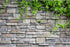 AWERT Vinyl 24x16 inches Stone Brick Wall Aquarium Background Rock Fish Tank Background Spring Leaves Terrarium Background...