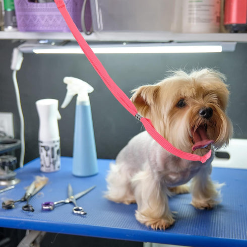 18 Pcs Pet Dog Grooming Loops Nylon Restraint Noose Adjustable Pet Straps Fixed Dog Cat Safety Rope Grooming Supplies for Pet Grooming Table Batht...