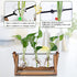 Plant Propagation Station, Plant Terrarium with Wooden Stand, Unique Gardening Birthday Gifts for Women Plant Lovers, Home Office Garden Decor Pla...