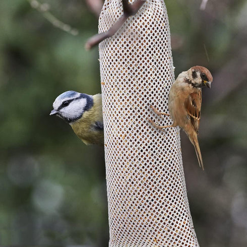 6 Pieces Thistle Finch Sock Bird Feeder, IOUALEY Wild Bird Food Mesh Sock Feeder Instant Seed Sack Supply Tools Hanging Kits for Wildlife Goldfinc...