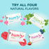 Stevita Hum, Cinnamon - Sugar-Free Gum - 12 Pieces, Pack of 12 - Supports Oral Health -, Non-GMO, Vegetarian, Keto, Gluten Free - 72 Total Serving...