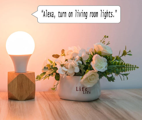 Smart Bulb A19 RGBCW LED Light 2.4 GHz Wi-Fi, 9W (Equivalent to 60W) 800LM, Voice Compatible with Alexa,Google Assistant and IFTTT, Multicolor 270...