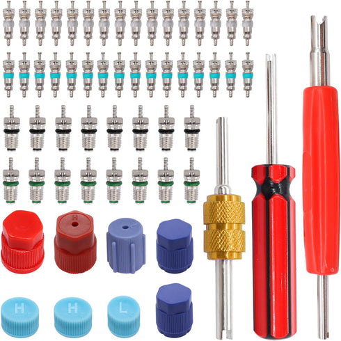 Taiss 59PCS Air Conditioning Valve Core Accessories Kit R12 R134a Refrigeration Tire Valve Stem Cores with Valve Core Rmover Tool HVAC AC System S...