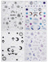 JMEOWIO 3D Embossed Moon Star Sun Nail Art Stickers Decals Self-Adhesive Pegatinas Uñas 5D Black White Heart Nail Supplies Nail Art Design Decorat...