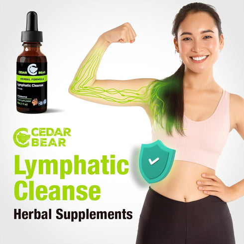 Cedar Bear - Lymphatic Cleanse Immune Support Supplement, Alcohol-Free Lymphatic Drainage Drops with Immune-Enhancing Natural Herbs, Liquid Herbal...
