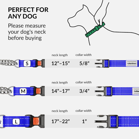 CollarDirect Martingale Dog Collar with Stainless Steel Chain and Quick Release Buckle - Reflective Collar for Large, Medium, Small Dogs - Blue, S...
