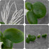 Framendino, 36 Pack Artificial Mini Duckweed with Root Plastic Floating Fish Plants for Aquarium Fish Tank Decor...