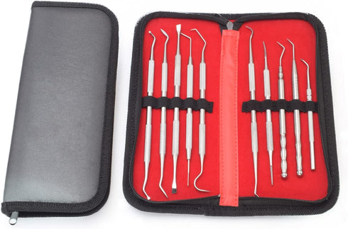 Professional Dental Tools Kit,10 PCS Teeth Cleaning Tools Set,Oral Care Kit with Tooth Pick, Tartar Scraper (Double Head and Single Head Picks Kit...