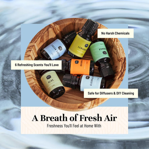 P&J Fragrance Oil Clean Home Set | Lemongrass, Fresh Cotton, Clean & Fresh, Aloe, Bamboo, Orange Candle Scent for Candle Making, Freshie Scents, S...