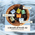P&J Fragrance Oil Clean Home Set | Lemongrass, Fresh Cotton, Clean & Fresh, Aloe, Bamboo, Orange Candle Scent for Candle Making, Freshie Scents, S...