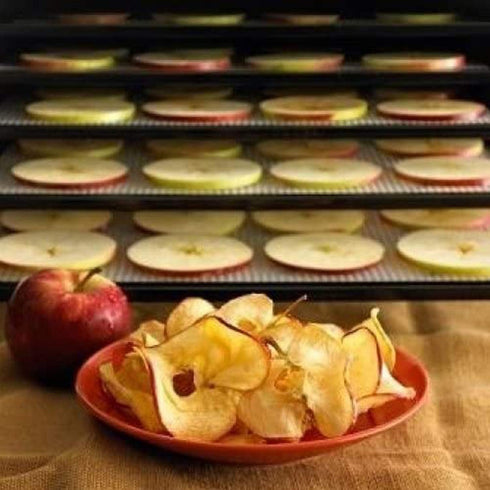 Superior 9 Pack Super Non-stick, Dupont Teflon Re-usable Food Dehydrator Sheets for Excalibur 2500, 2900, 3500, 3900 or 3926t. Sheet Measures 14” ...