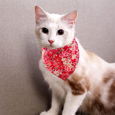 PET SHOW 4Pcs Small Dog Bandanas Slide on Collar Set Washable Cherry Blossoms Puppies Cat Bandanas Bibs Slip Through Collar Accessories for Boy Gi...