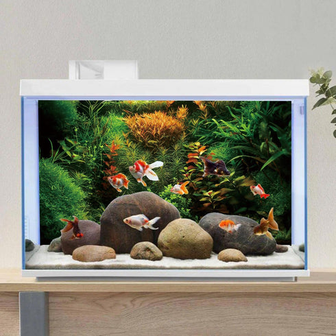 AWERT 72x24 inches Aquarium Background Seagrass Aquarium Background Aquatic Plant River Bed & Lake Fish Tank Background Vinyl Background...