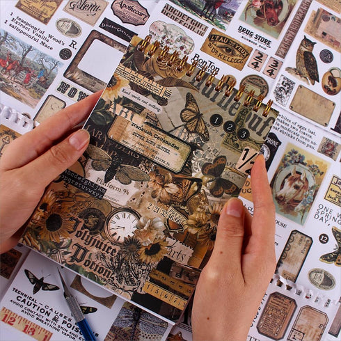 Diuhofart 900+ Mini Scrapbook Washi Stickers for Journaling, 50 Sheets Vintage Sticker Book, Ephemera for Junk Journal Supplies Bullet Journals, S...