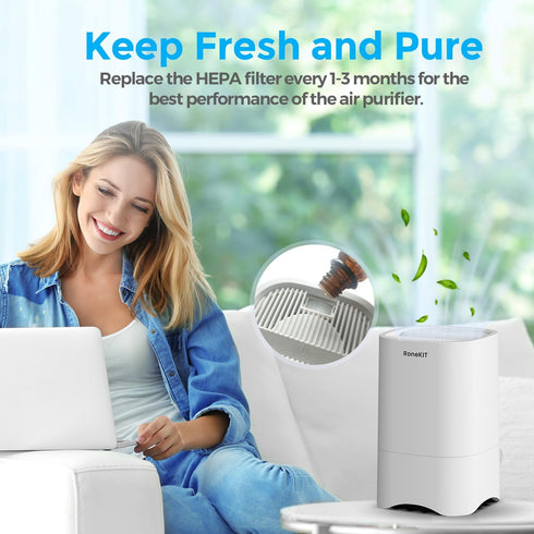 1-Year Pack Air Purifier Replacement Filter for P100, True HEPA Filter, 4 Pack...