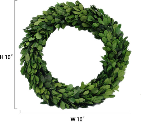 Preserved Garden Boxwood Round Wreath 10" By COCOMIA...