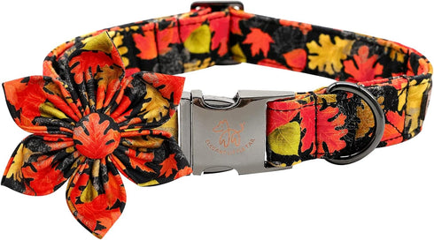 Elegant little tail Dog Collar with Flower - Fall Dog Collar Maple Leaf Flower Girl Boy Pet Collar Gift Soft Dog Flower Collars for X-Small Puppy...