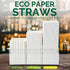 10 Inch Long Paper Drinking Straws, 0.24" Diameter - White, 100 counts...
