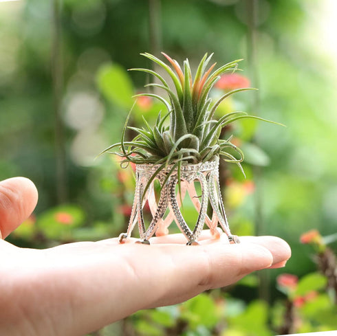 Pack of 3 Silver Air Plant Holder Cute Crystal Tillandsia Display Container Home Decors Office Desktop Marble Egg Sphere Stand...