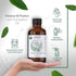 HBNO® California Bottled Organic Eucalyptus Essential Oil (Globulus) 4 fl oz (120ml) - USDA Certified Organic Eucalyptus Oil for Diffuser, Ideal E...