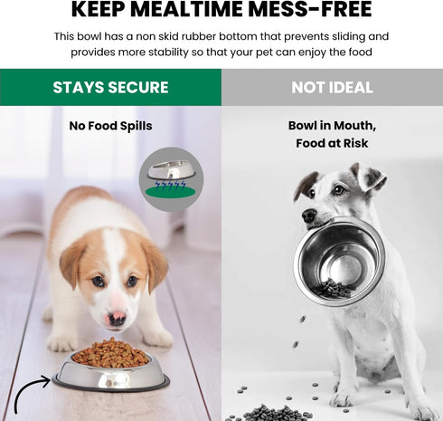 ICONIC PET 8 oz/ 1 Cup Heavy Weight Stainless Steel Elevated High Back Pet Food/Water Bowl with Removable Anti Skid Rubber Ring - Dog/Cat Feeding ...
