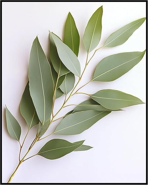 Posterizer 1 pcs-plant leaves-Chic art for plant lovers 6-Floral & Botanical Art-Workplace & Office Art-Living Room Bedroom Decor- unframed wall a...