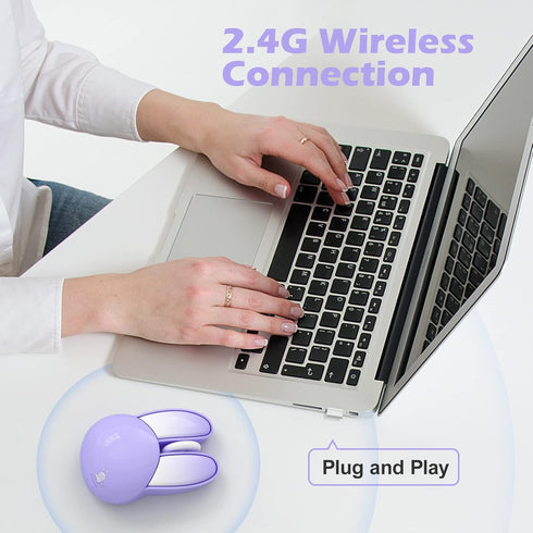 Wireless Silent Mouse, Cute Rabbit Designs, 2.4 GHz with USB Mini Receiver, Opatical Mouse Wireless for Laptop, PC, Computer, Chromebook, Notebook...