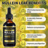 Mullein Drops for Lungs - Non-GMO Mullein Leaf Extract with Chlorophyll for Lung and Respiratory Support...