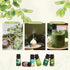 SALKING Nature Fragrance Oils, Premium Essential Oil for Diffuser, Scented Oil Gift Set for Soap Candle Making - Pine, Ocean Breeze, Rain, Fresh C...