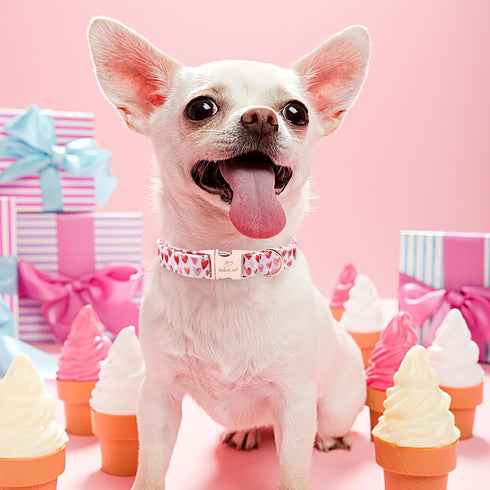 Valentine's Day Dog Collar for Medium Dog,White Red Pink Love Male Dog Collar with Safety Metal Buckle Adjustable Puppy Collars for Small Large Bo...