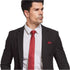 Burgundy Tie Men Women Skinny Tie Slim Tie Stripe Tie with Hanky Waterproof Oilproof Tie-Burgundy...
