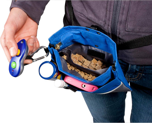 PetSafe Treat Pouch Mini - Durable, Convenient Dog Training Accessory, Black...