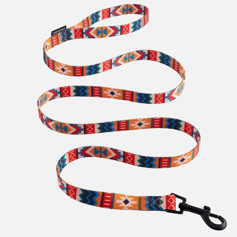 CollarDirect Nylon Dog Leash 5ft Tribal Pattern Durable Walking Pet Leashes for Dogs Small Medium Large Puppy (Pattern 3, L, New)...