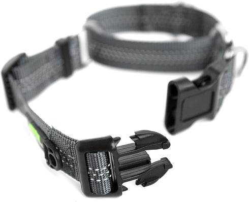 Mighty Paw Martingale Nylon Training Collar. Our Trainer Approved Limited Slip Collar. Modified Cinch Collar for Controlled Force for Optimal Trai...