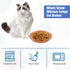 8pcs Cat Food Bowls, 6 inch Whisker Fatigue Cat Bowls for Food and Water Wheat Straw Shallow Wide Cat Dish Plates Colorful Kittens Wet Feeding Wat...
