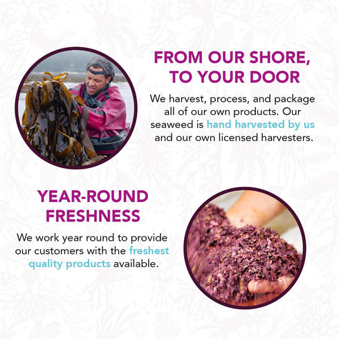 VITAMINSEA Dulse Dried Seaweed | Wild North Atlantic Seaweed for Snacking, Seasoning, Soups & Salads | Rich in Vitamins, Minerals & Antioxidants P...