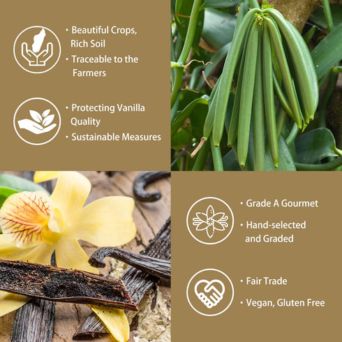 GRELIM Vanilla Bean Powder, 100% Pure Ground Madagascar Vanilla Powder,No Fillers or Additives Great for Baking, Coffee, Smoothies 1.23 Oz (35g)...