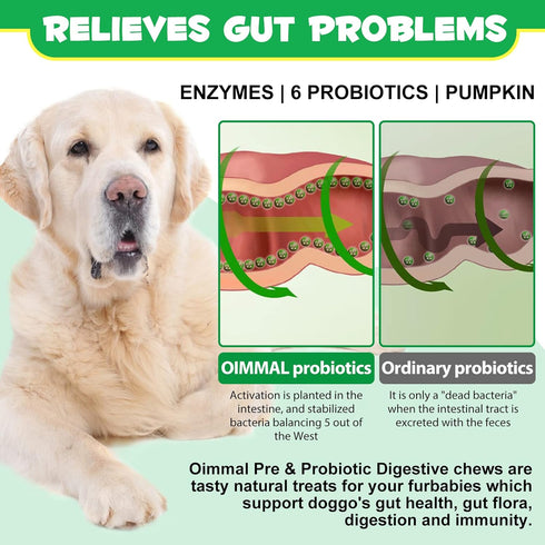 Probiotics for Dogs with Prebiotics and Digestive Enzymes, Dog Probiotics Chews Omega-3 & 6, Vitamin, Improve Digestion, Immunity, Reduce Diarrhea...