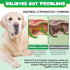 Probiotics for Dogs with Prebiotics and Digestive Enzymes, Dog Probiotics Chews Omega-3 & 6, Vitamin, Improve Digestion, Immunity, Reduce Diarrhea...