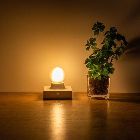 Frosted E26 LED Bulb 4W Dimmable Warm White 2700K, 40 Watt Equivalent LED Light Bulbs, G16.5 Edison LED Frosted Globe Light Bulbs, Vintage Light B...