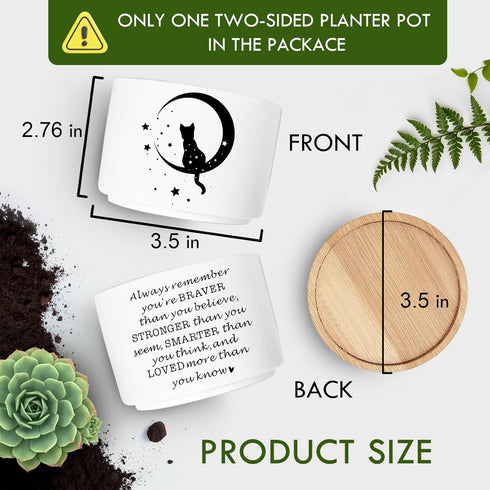 Cute Cat Succulent Plant Pot with Inspirational Quote, Funny Small Cactus Flower Planter Pots for Indoor Plants, Windowsill Desk Decor Planter Gif...