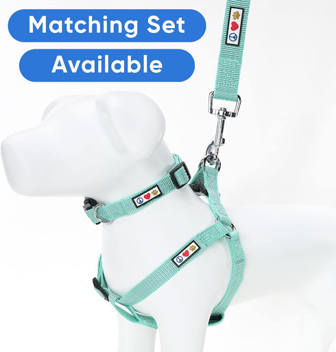 Pawtitas Reflective Dog Collar Adjustable Dog Collars for Small Dogs Puppy Collar Extra Small Dog Collar Teal Dog Collar...