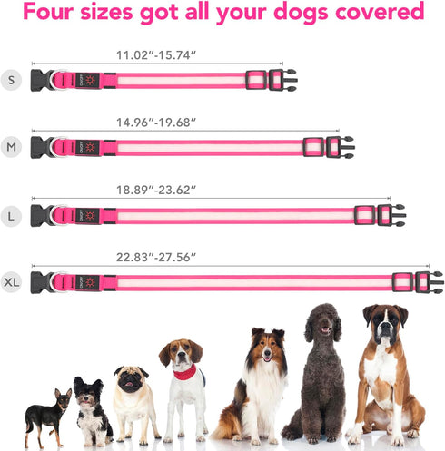 LED Dog Collar, Light Up Dog Collar Adjustable USB Rechargeable Super Bright Safety Light Glowing Collars for Dogs (Large, Pink)...
